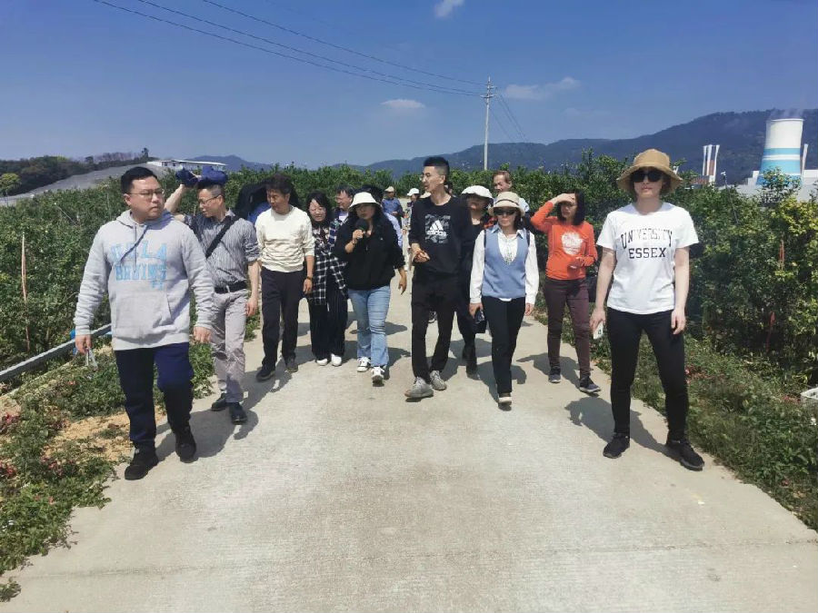 3.jpg 图片